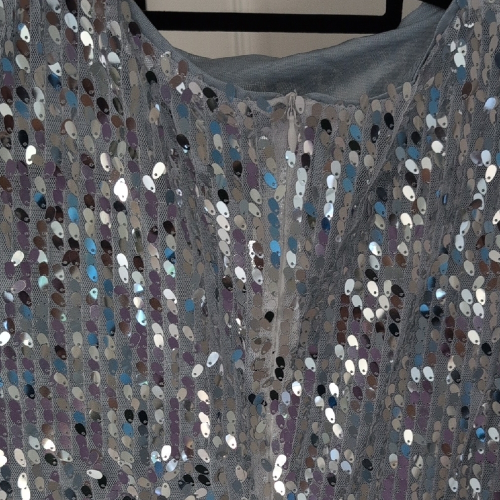 Silver Sequin Long Sleeve Dress - Picture 4 of 6